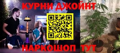 спиды Камышлов