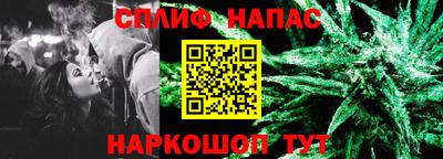 спиды Камышлов