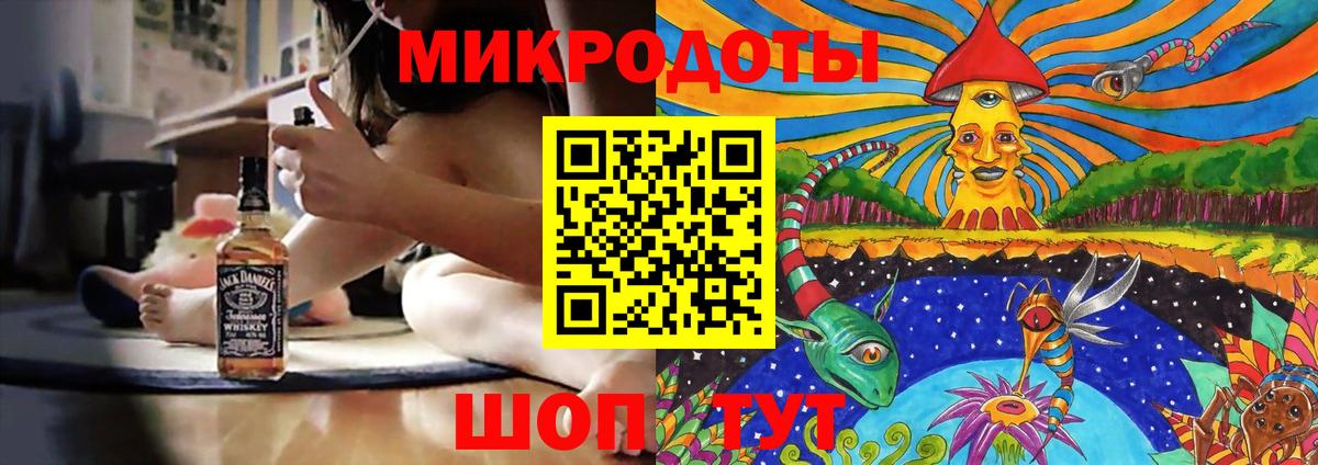 Псилоцибиновые грибы Psilocybe Майский