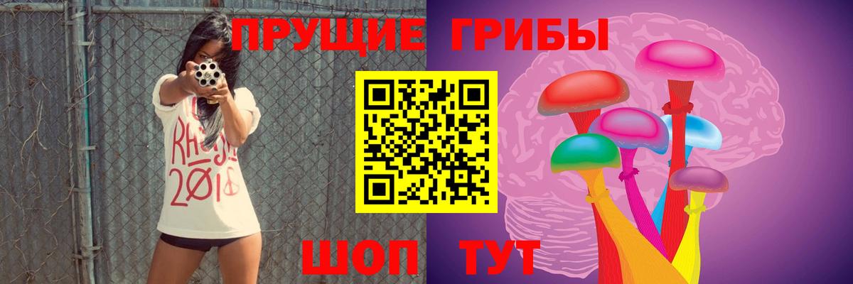 Майский  Галлюциногенные грибы Psilocybine cubensis  Вход с VPN 